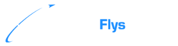 Excellence Flys Longer logo